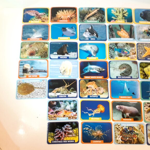 THE YOUNG SCIENTISTS CLUB - OCEANS ANIMAL GAMES - Picture 11 of 16